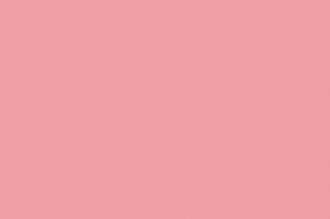 U363 ST9 Фламинго розовый
